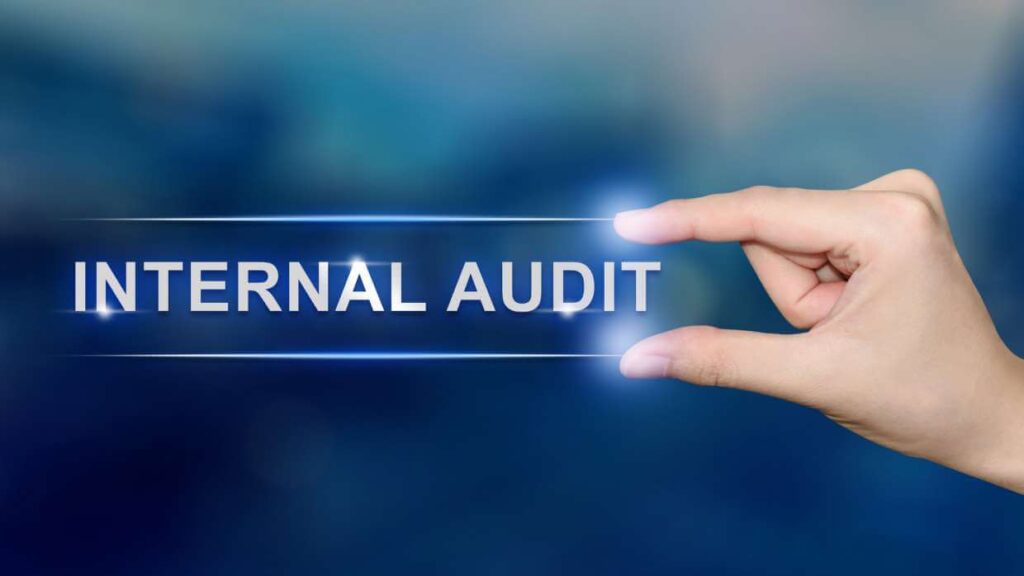 Outsourced Internal Auditing-Internal Auditing Pros of America