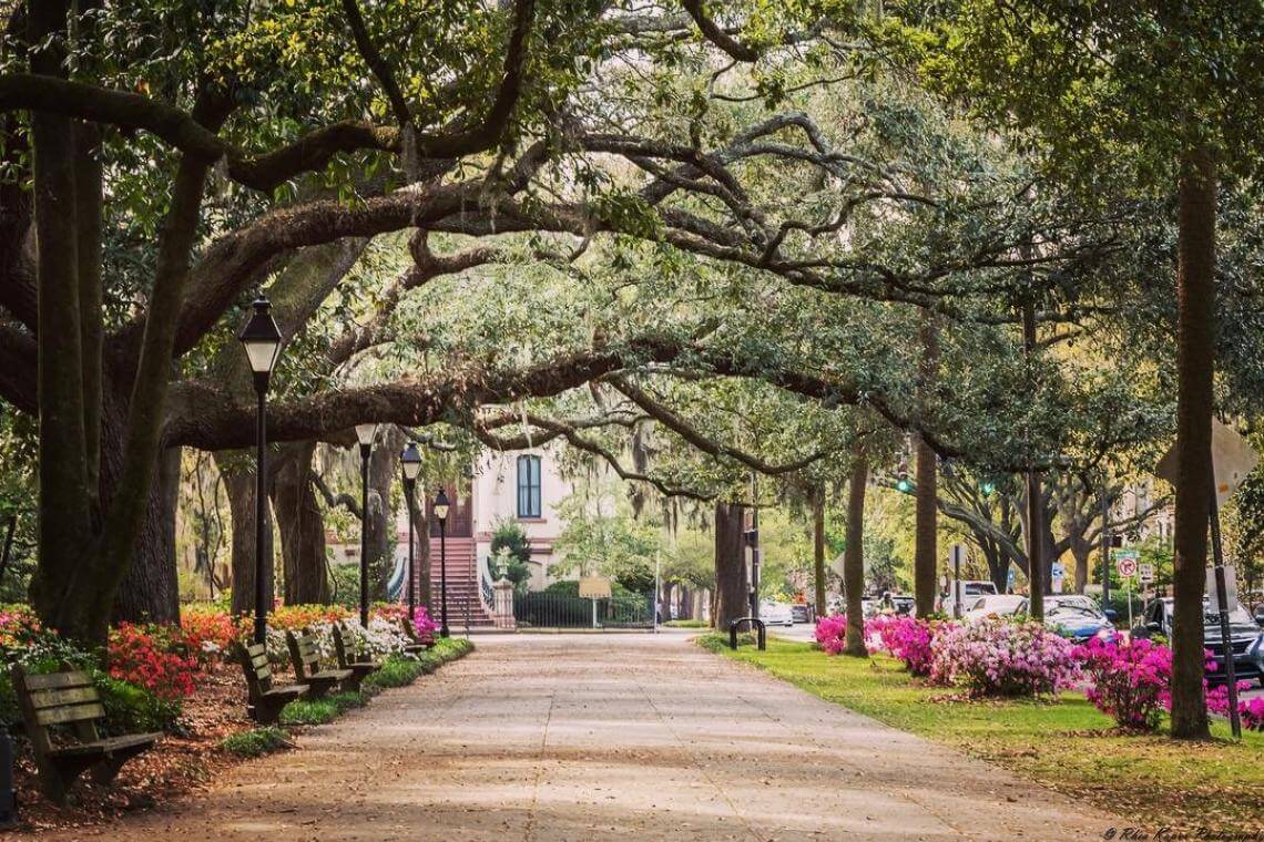 Savannah GA-Internal Auditing Pros of America Savannah GA-Internal Auditing Pros of America